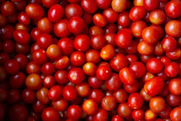 Poêles anti-adhésives cristel : l'alliance du goût et de la santé