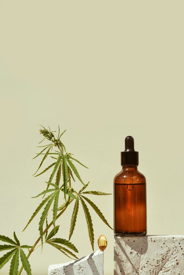 Mousse au chocolat et l'huile cbd : un dessert relaxant et savoureux